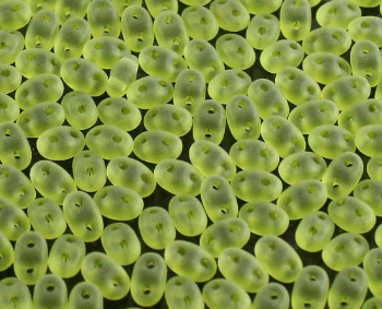 MINIDUO OLIVINE MATTE